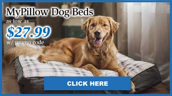 MyPillow Dog Beds