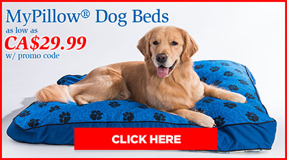 MyPillow Dog Beds