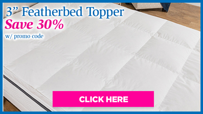 3 Inch Featherbed Topper