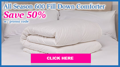 All Season 600 Fill Down Comforters