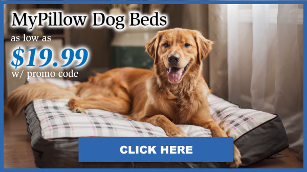 MyPillow Audit88